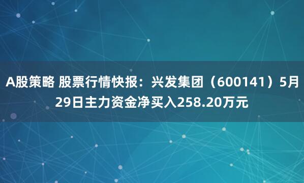 A股策略 股票行情快报：兴发集团（600141）5月29日主力资金净买入258.20万元