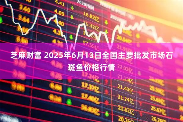 芝麻财富 2025年6月13日全国主要批发市场石斑鱼价格行情