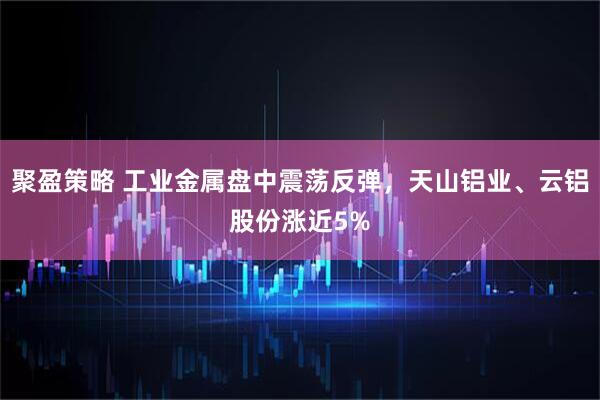 聚盈策略 工业金属盘中震荡反弹，天山铝业、云铝股份涨近5%