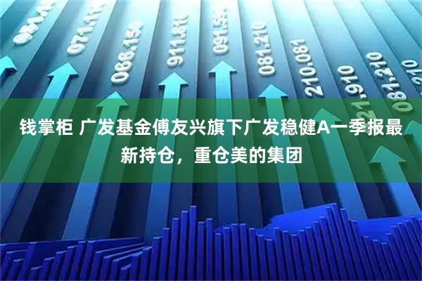 钱掌柜 广发基金傅友兴旗下广发稳健A一季报最新持仓，重仓美的集团