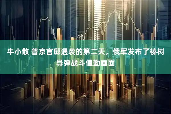 牛小散 普京官邸遇袭的第二天，俄军发布了榛树导弹战斗值勤画面
