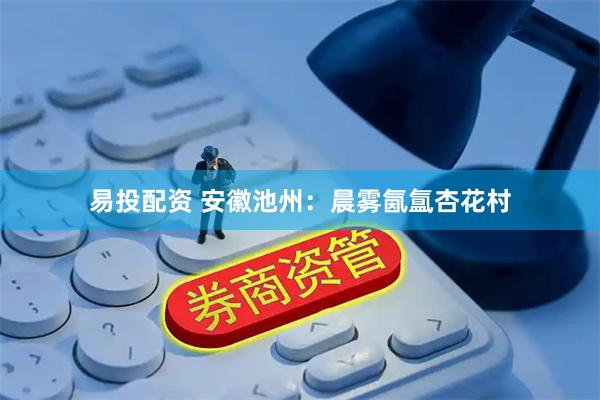 易投配资 安徽池州：晨雾氤氲杏花村